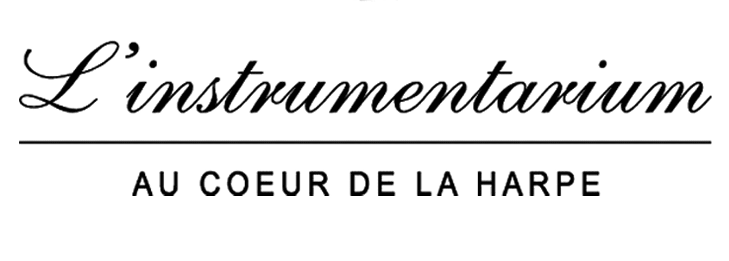Logo INSTRUMENTARIUM