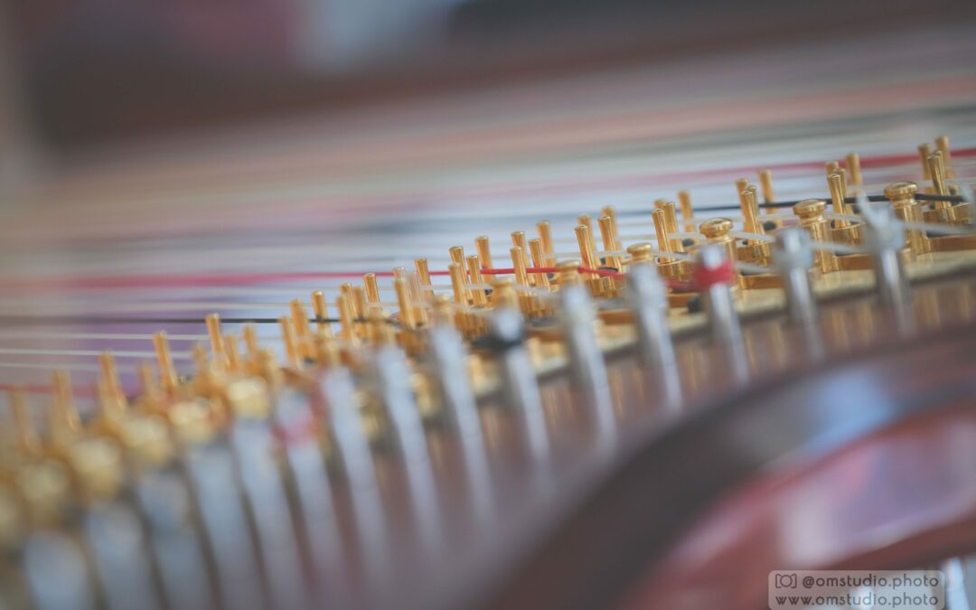 Coralie Cousin, une « kyné des musiciens » pour les harpistes